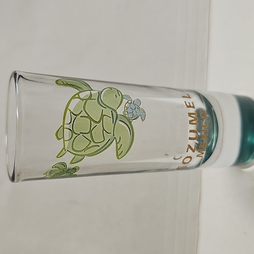Cozumel Turtle Shot Glass - Green and Blue